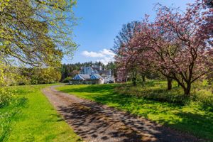 Photo 16- click for photo gallery